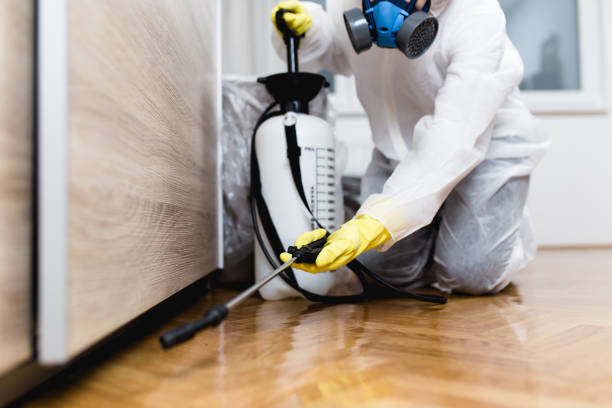 Flea Control Services in Woods Hole, MA