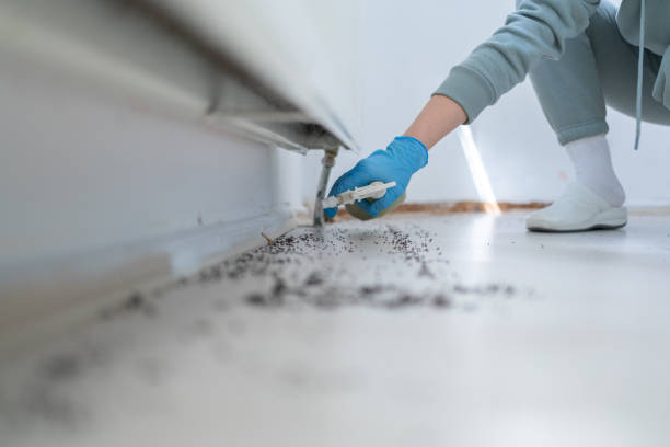 Pest Control Cost in Woods Hole, MA